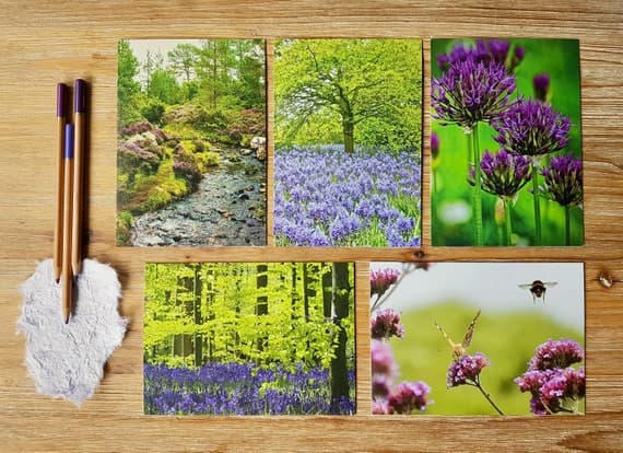 Purple Card Collection | Blank Everyday Greeting Card Pack | Thinking of You Gift Set | Thank You Notecards | UK Eco Friendly Card Designs
